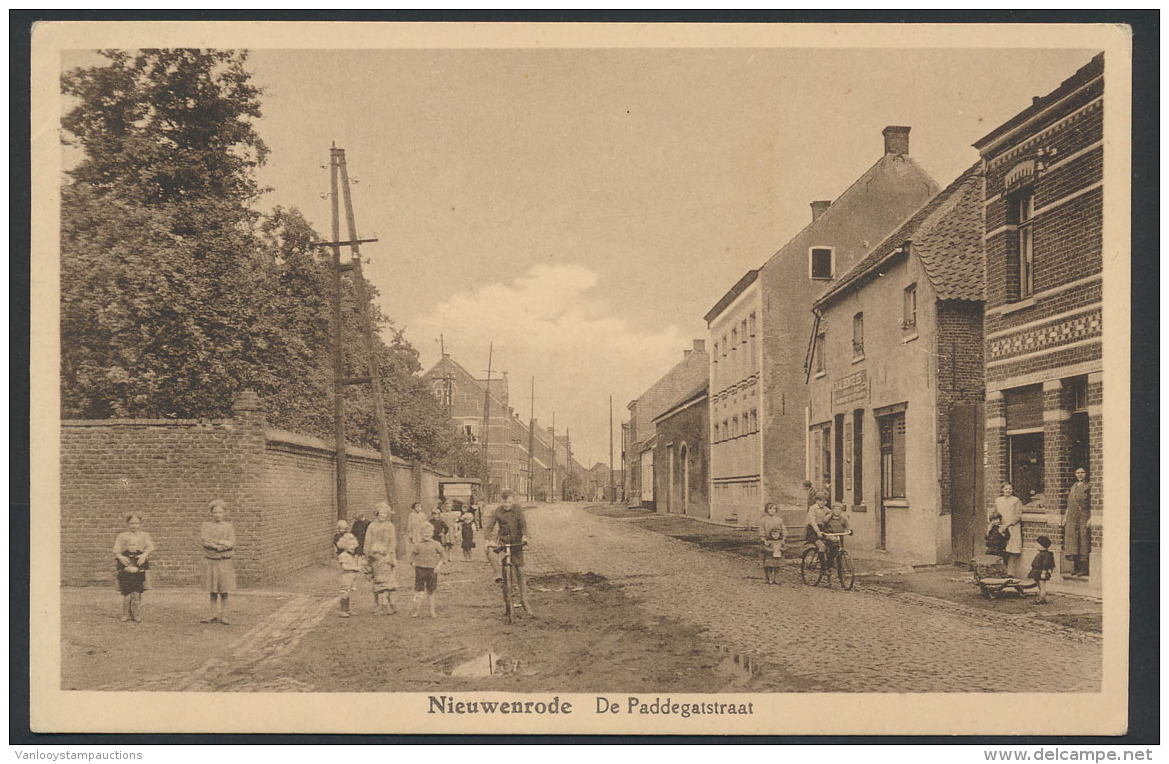 Nieuwenrode, De Paddegatstraat (1 Stuk) - Andere & Zonder Classificatie