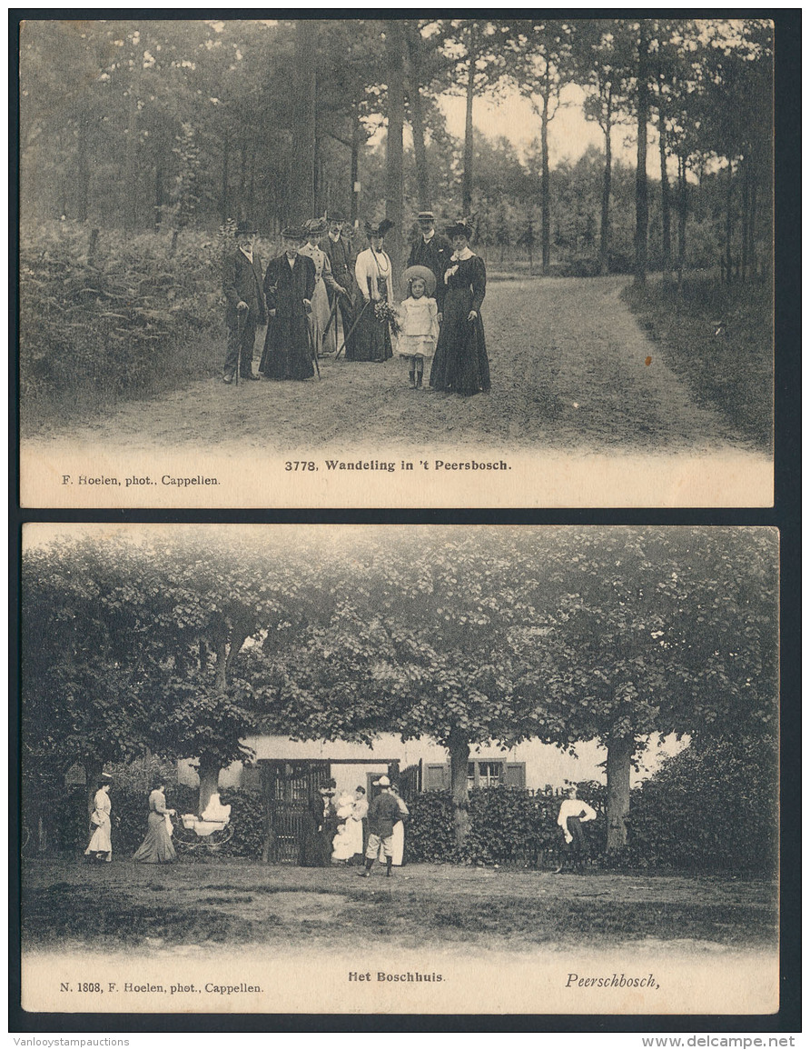 Brasschaat, Merendeel Peerdbos (Hoelen N - Autres & Non Classés