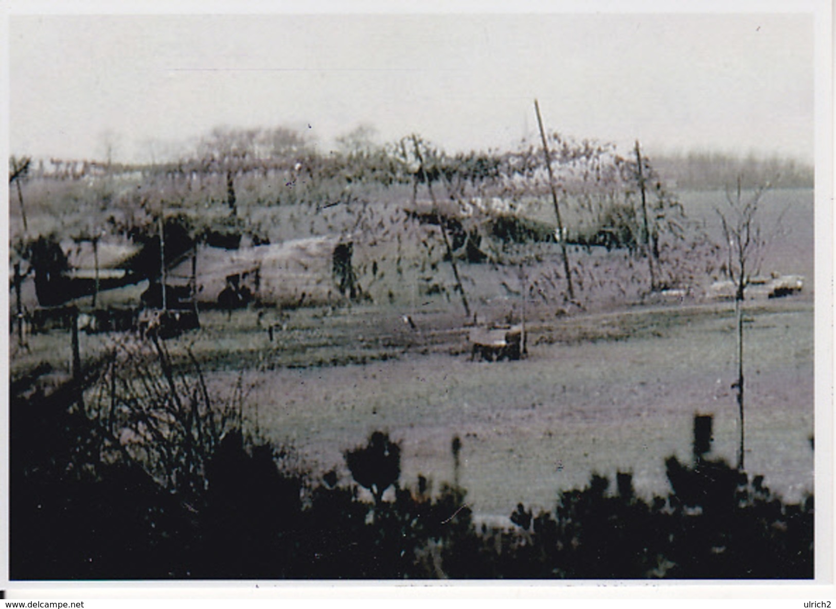 Foto Deutsche Flugzeuge Unter Tarnnetz - 2. WK - 9*6cm - Repro (29209) - Sonstige & Ohne Zuordnung