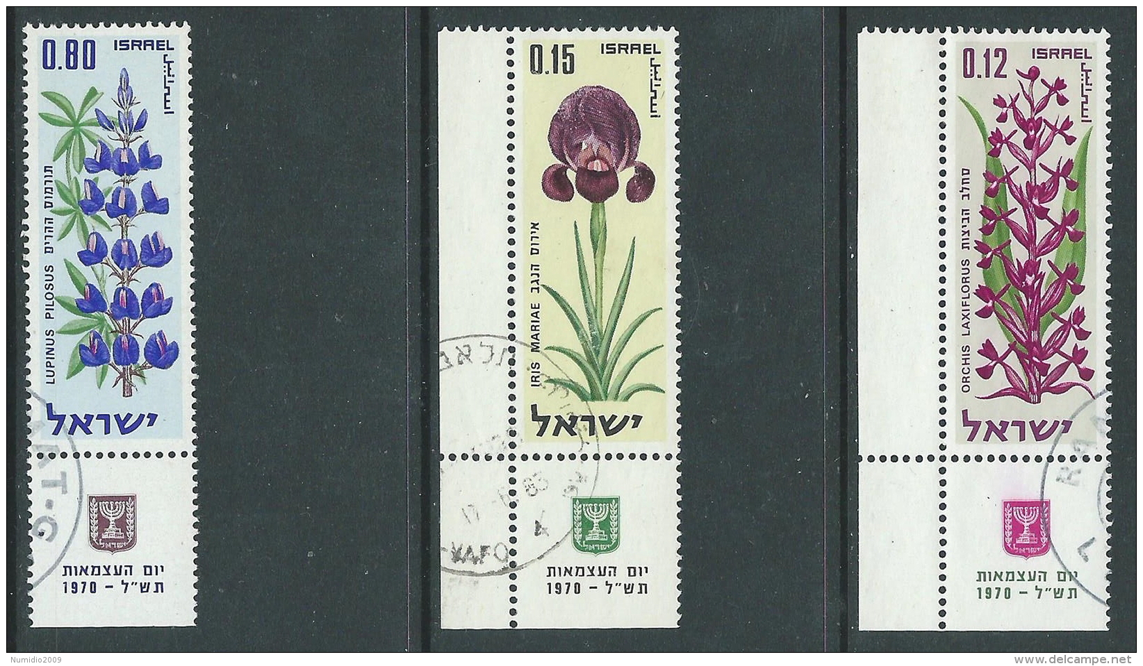 1970 ISRAELE USATO ANNIVERSARIO DELLO STATO CON APPENDICE - T9-5 - Usados (con Tab)