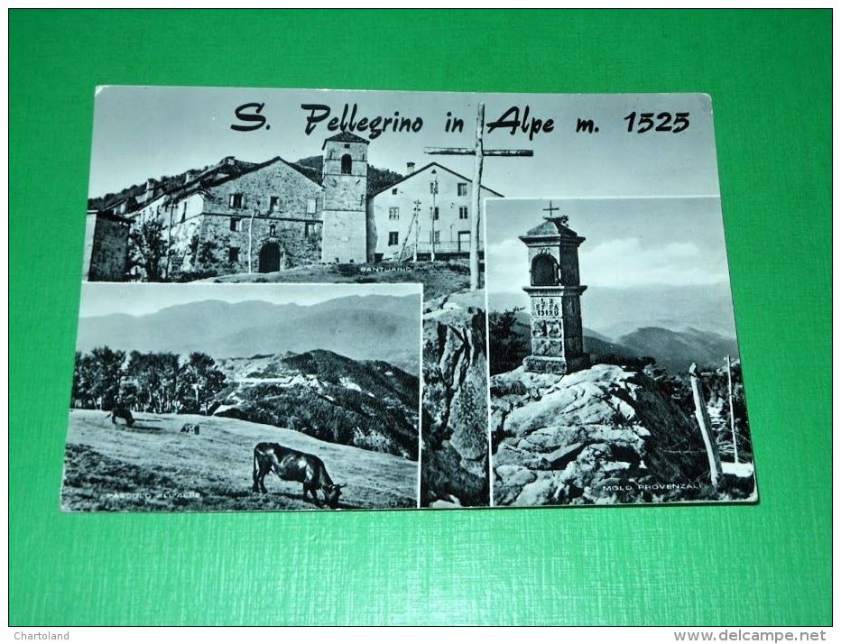 Cartolina San Pellegrino In Alpe - Vedute Diverse 1959 - Lucca