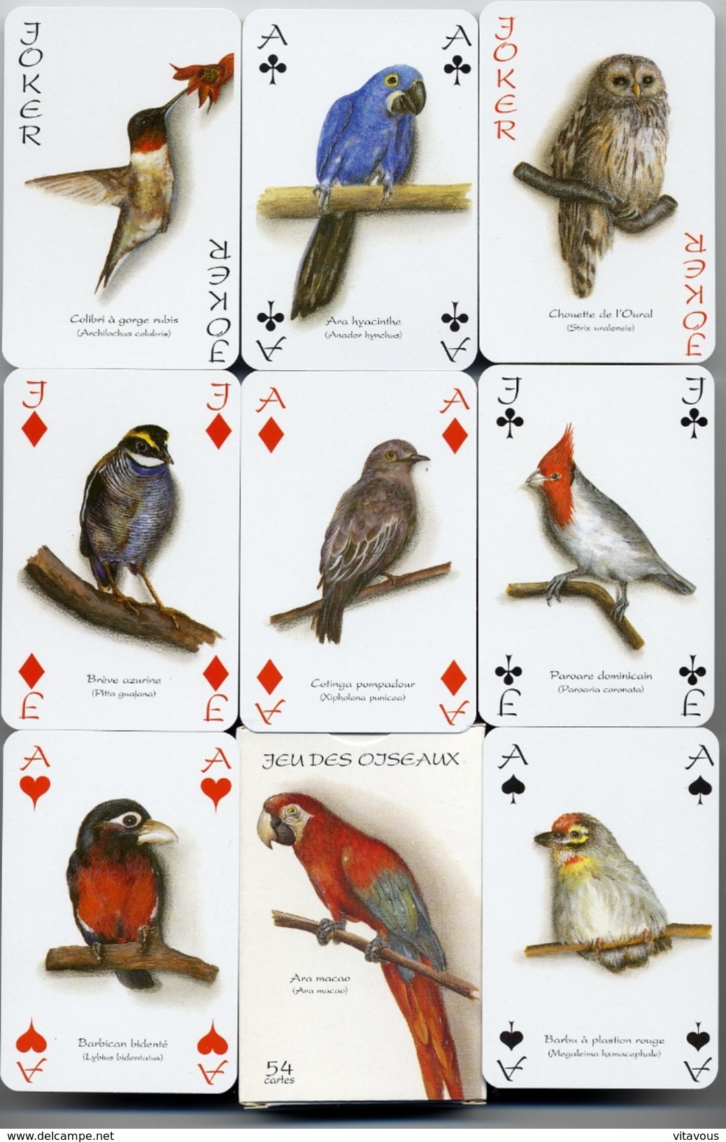 Jeu De 54 Cartes Animal Animaux Oiseau Oiseaux Bird Vogel - 54 Cartes