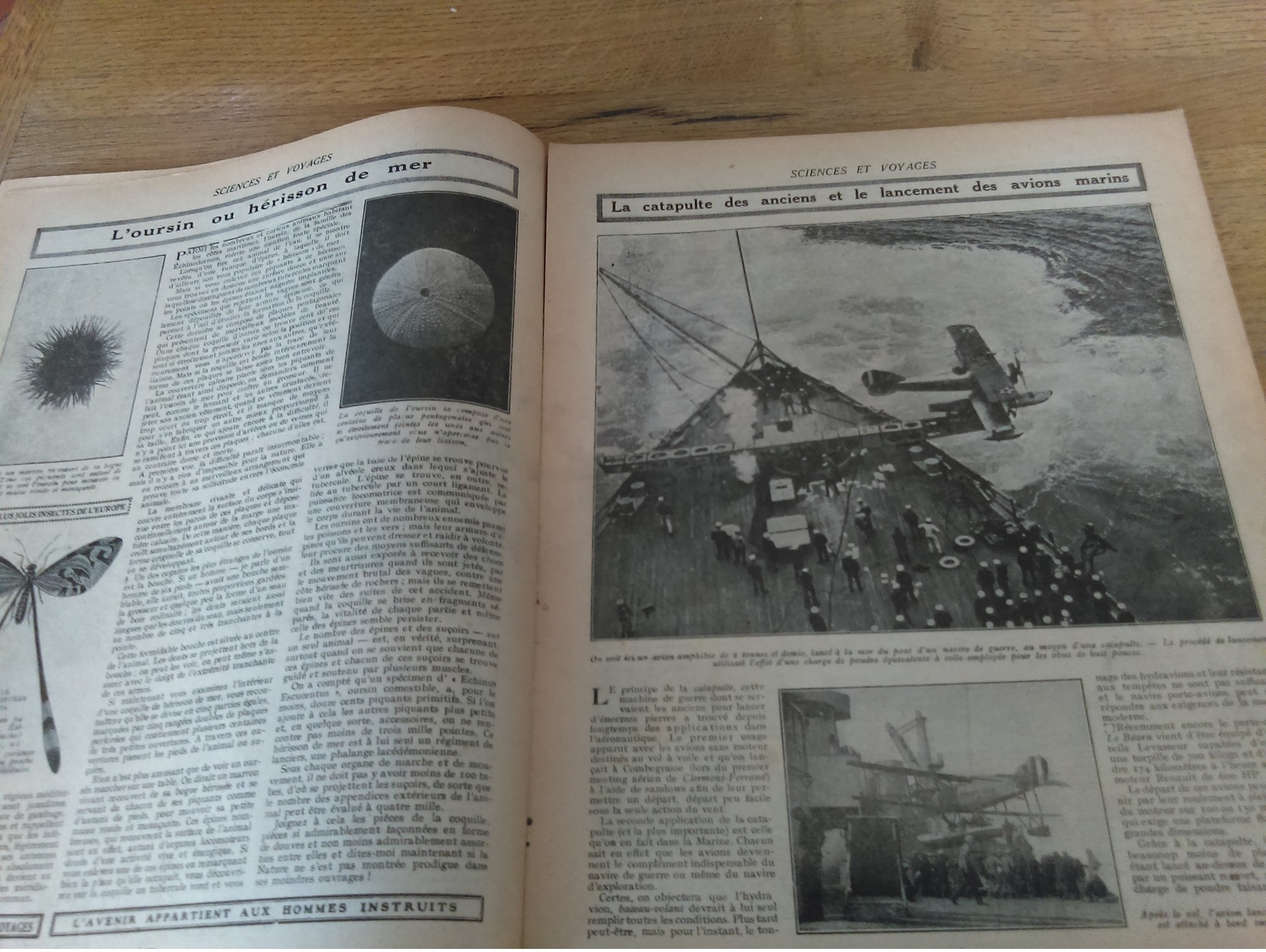 97/SCIENCES ET VOYAGES N° 388  1927 Cet Insecte Bizarre Et Enorme Est Un Phasme,la Catapulte Des Avions Marins - 1900 - 1949