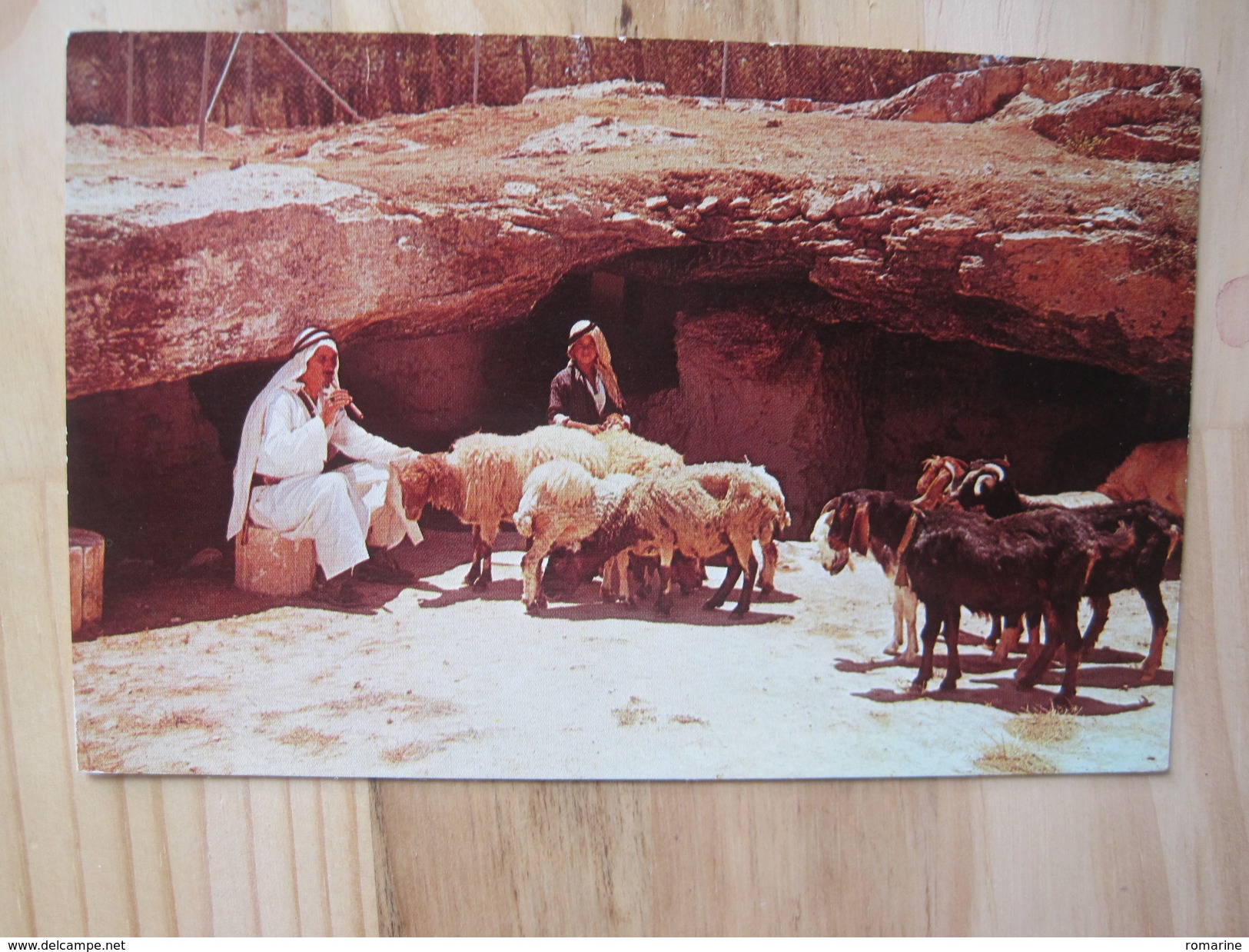 Field Of The Shepherds Near Bethlehem - Jordania