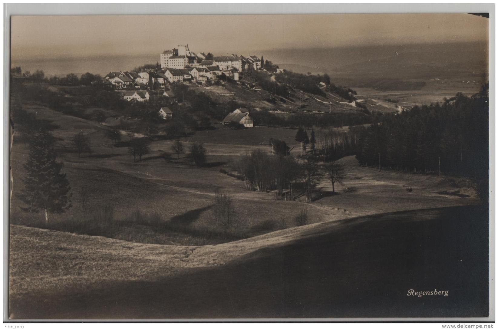 Regensberg - Gesamtansicht - Photo: Guggenheim No. 13602 - Regensberg