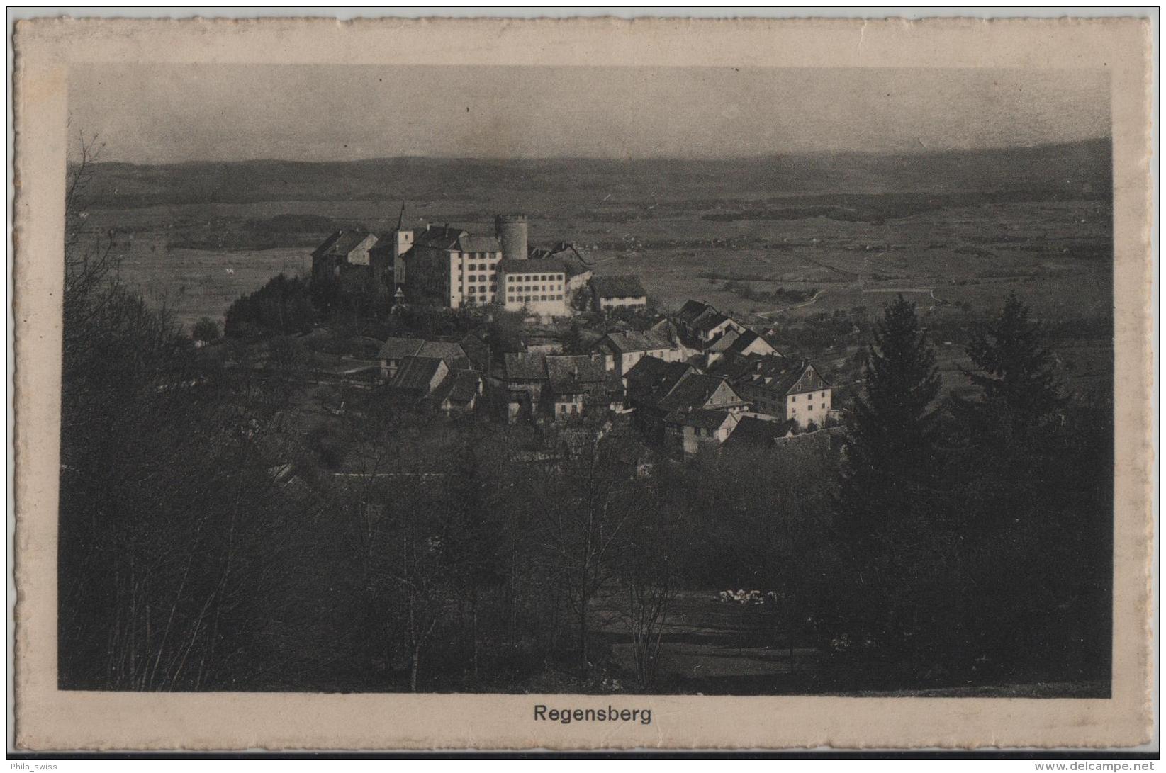 Regensberg - Gesamtansicht - Photo Und Karten-Centrale No. 223 - Regensberg