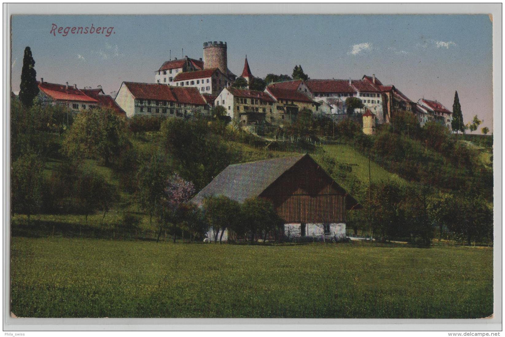 Regensberg - Gesamtansicht - Photo: Jos. Schmidli No. 3 - Regensberg