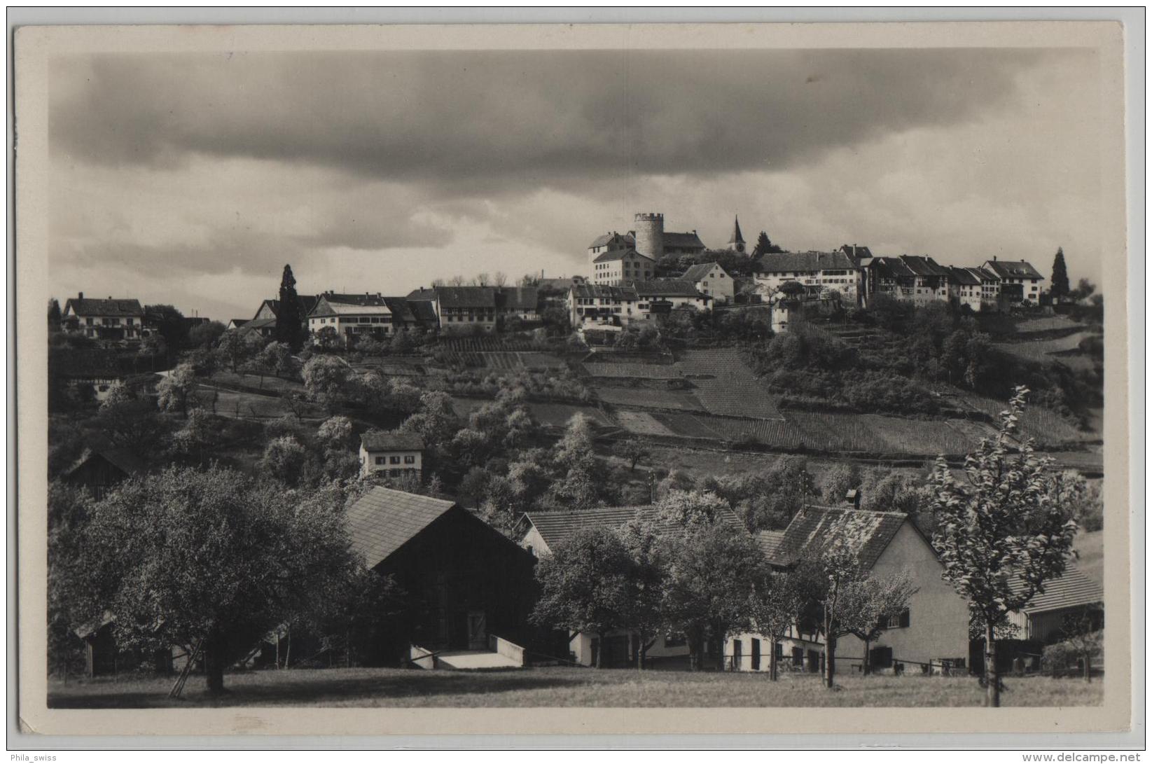 Regensberg - Gesamtansicht - Photo: B. Buholzer No. 8210 - Regensberg