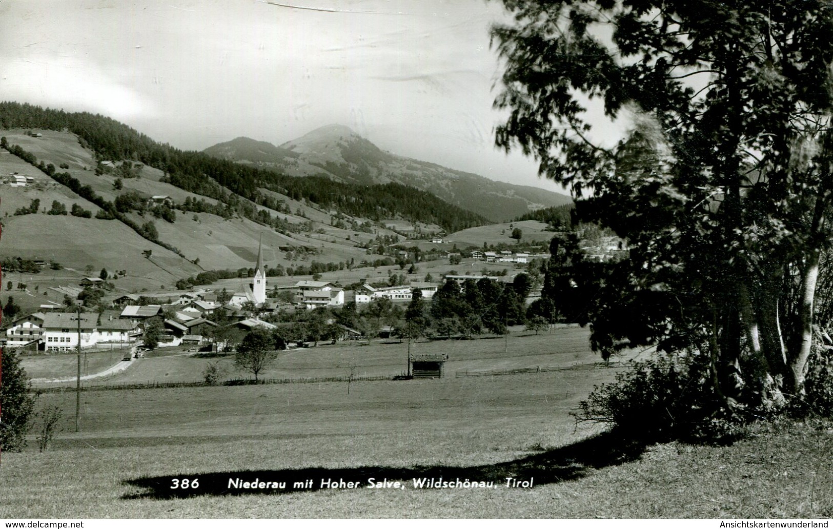 Niederau Mit Hoher Salve, Wildschönau  (000525) - Wildschönau