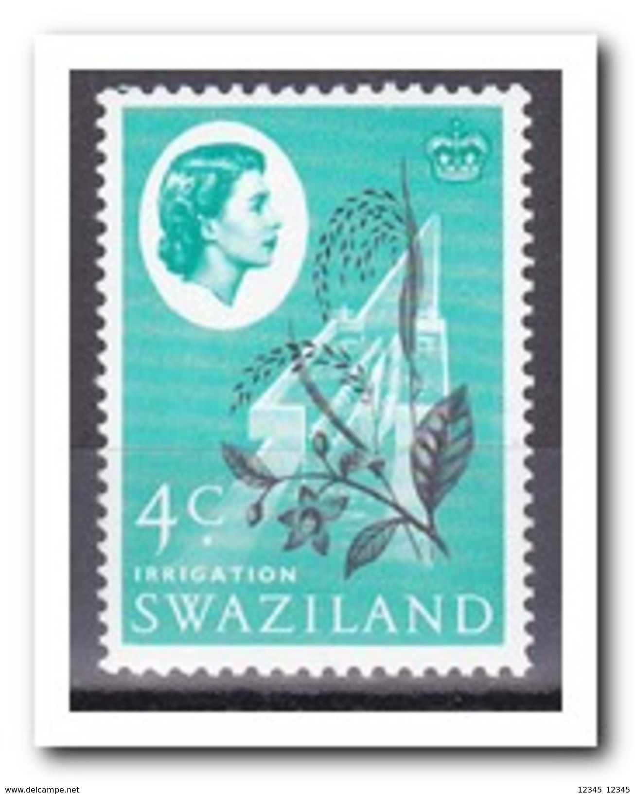 Swaziland 1962, Postfris MNH, Plant - Swaziland (1968-...)