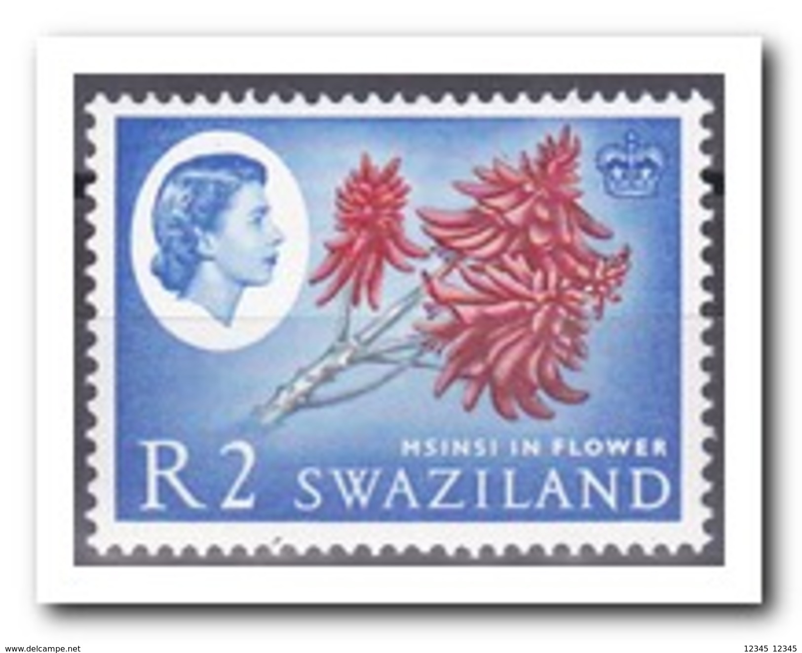 Swaziland 1962, Postfris MNH, Plants - Swaziland (1968-...)