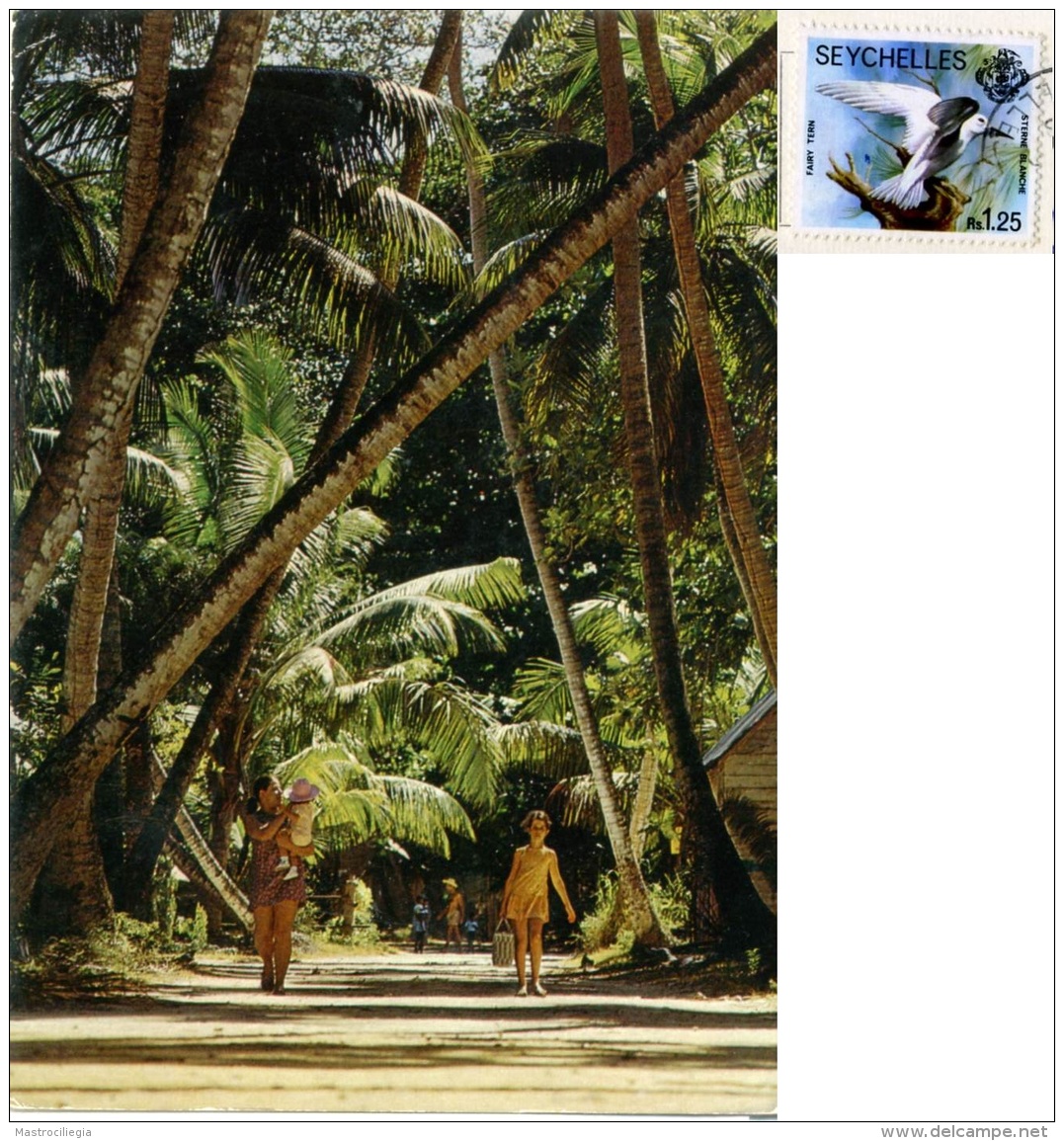 SEYCHELLES  Village Road On La Digue Island  Nice Stamp  Bird Theme - Seychelles