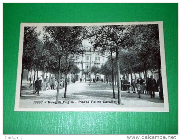 Cartolina Ruvo Di Puglia - Piazza Felice Cavallotti 1920 Ca - Bari