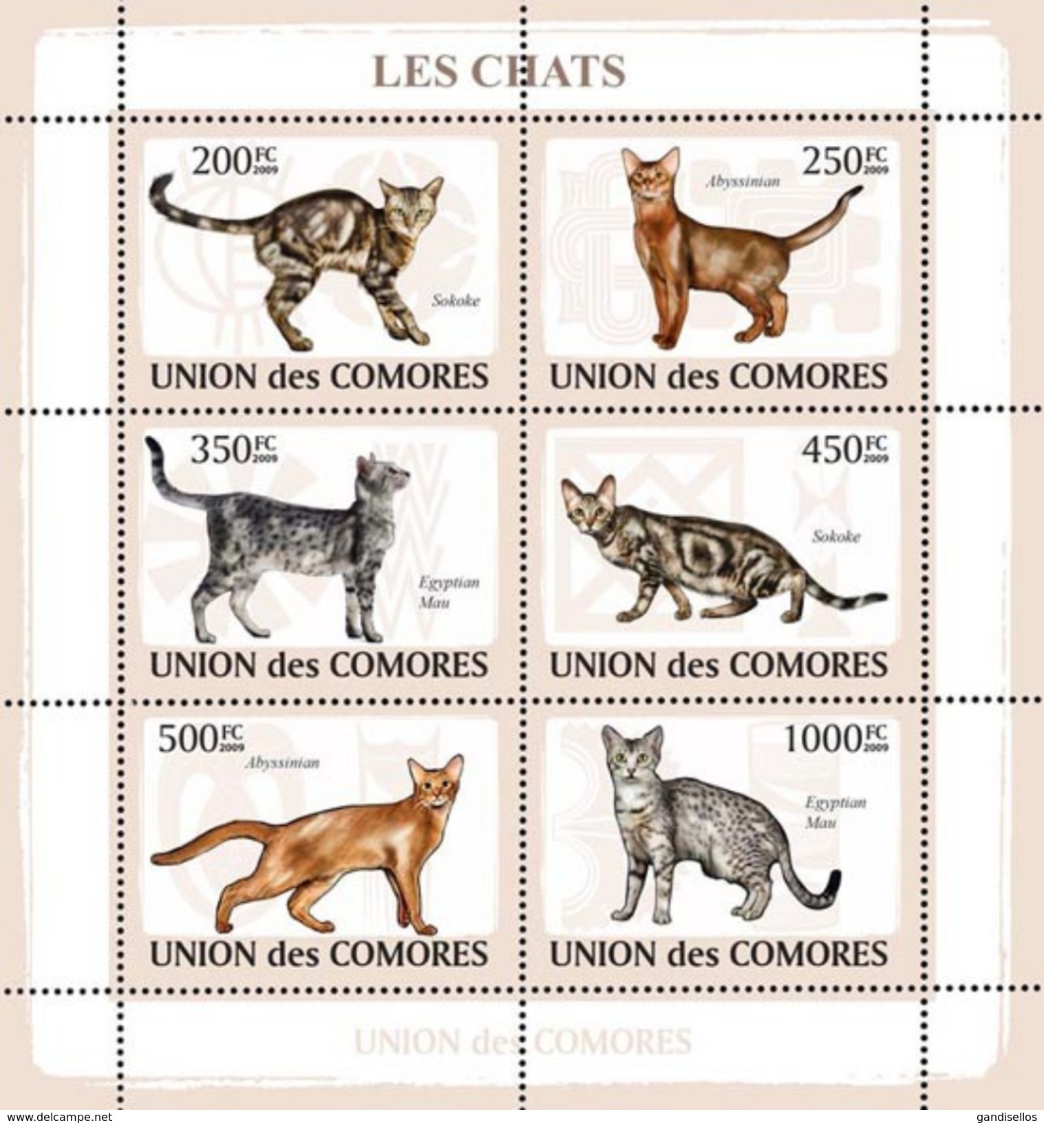 COMORES 2009 SHEET CATS LES CHATS GATTI GATOS KATZEN Cm9105a - Comores (1975-...)