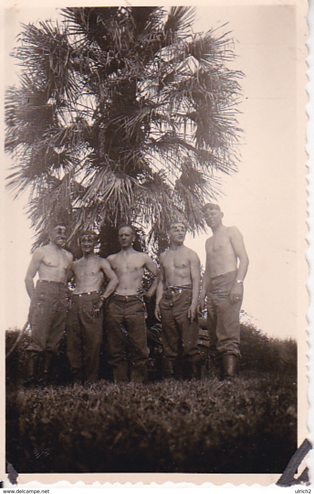 Foto Deutsche Soldaten Unter Palmen - Afrika(?) - Unsere Unterführer - Ca. 1940 - 8*5cm (29241) - War, Military