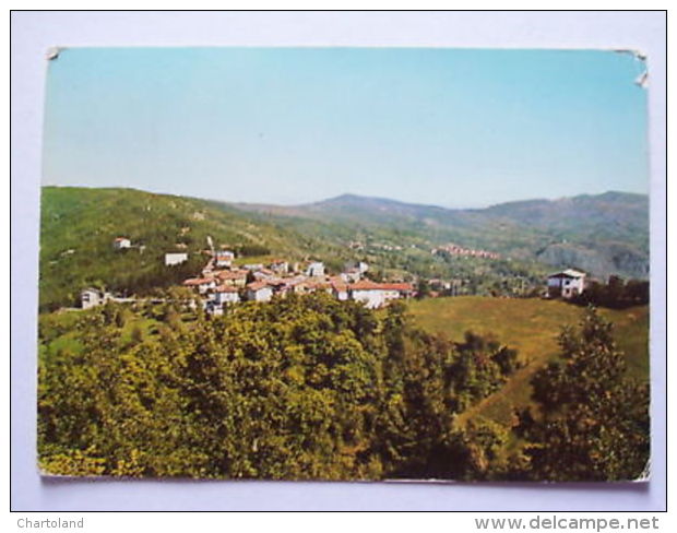 Cartolina Brallo ( Pavia ) - Panorama 1974 - Pavia