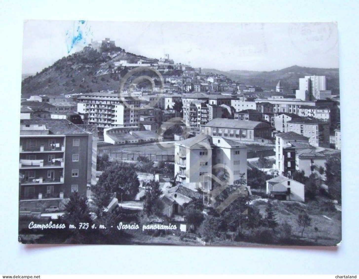 Cartolina Campobasso - Panorama 1967 - Campobasso