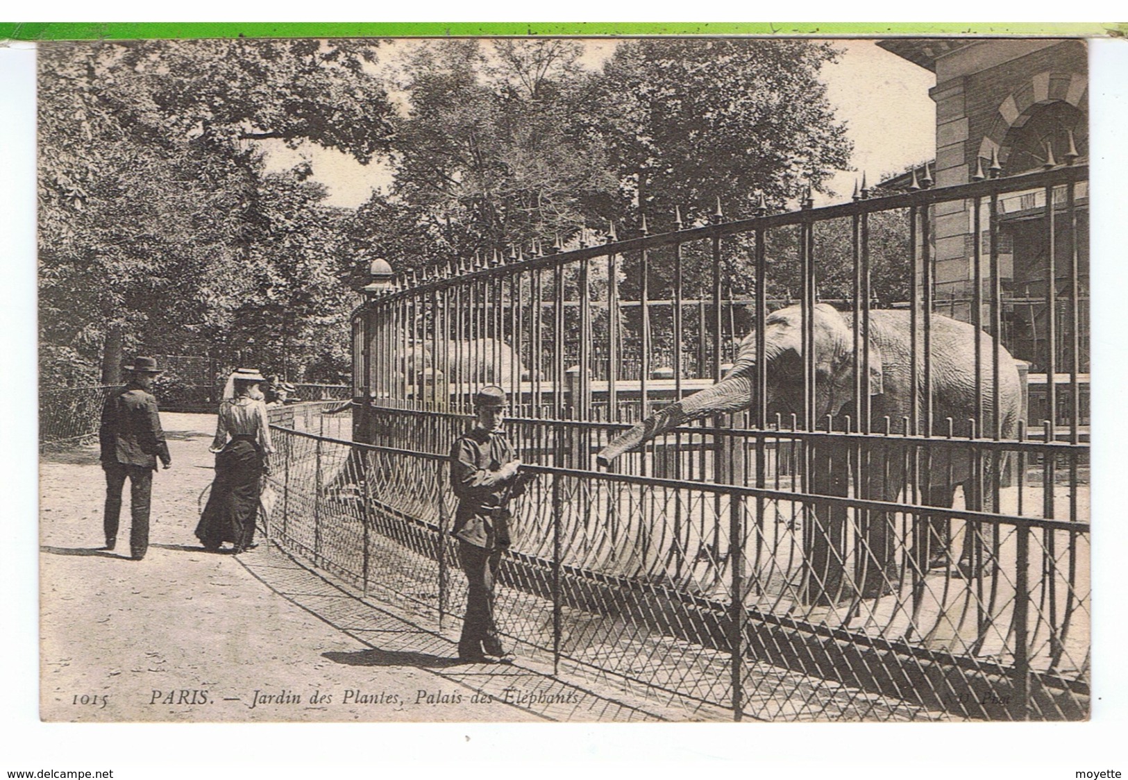 CPA-75-1905-PARIS-LE JARDIN DES PLANTES-LE PALAIS DES ÉLÉPHANTS-ANIMÉE-3 PERSONNAGES ET DEUX ÉLÉPHANTS- - Other & Unclassified