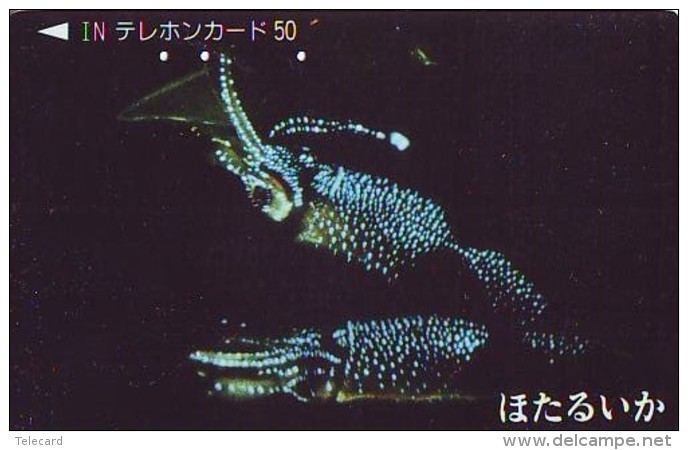 Télécarte  Japon * Poisson (285) Calamar * Japan Fish Phonecard CALMAR Squid KALMAR Inktvis - Peces