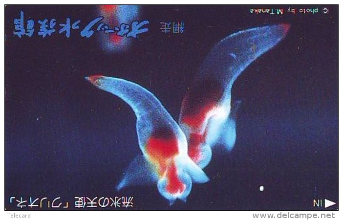 Télécarte  Japon * Poisson (306) Calamar * Japan Fish Phonecard CALMAR Squid KALMAR Inktvis - Fish