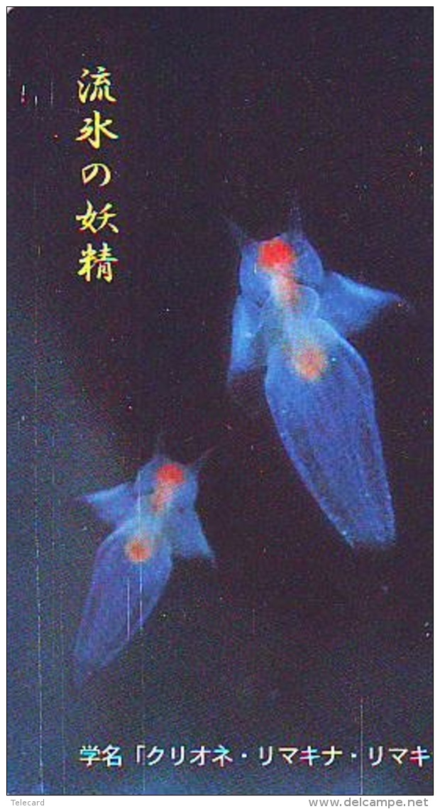 Télécarte  Japon * Poisson (307) Calamar * Japan Fish Phonecard CALMAR Squid KALMAR Inktvis - Fish
