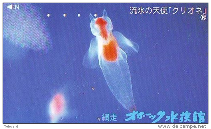 Télécarte  Japon * Poisson (309) Calamar * Japan Fish Phonecard CALMAR Squid KALMAR Inktvis - Fische