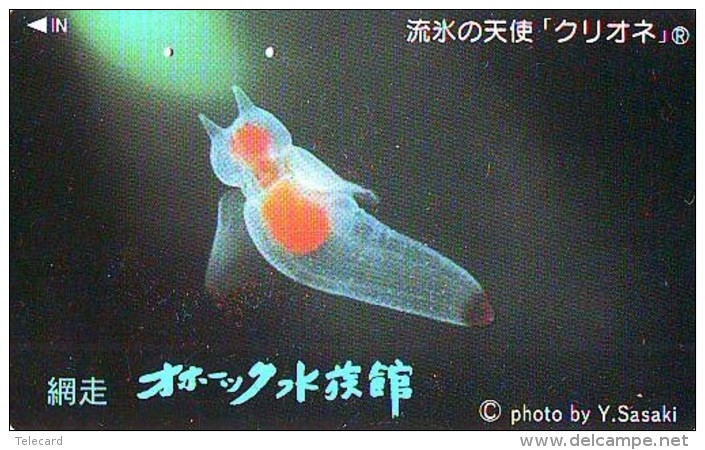 Télécarte  Japon * Poisson (310) Calamar * Japan Fish Phonecard CALMAR Squid KALMAR Inktvis - Poissons