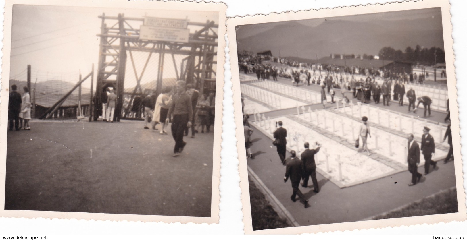 Photo Originale Lot De 4 Camp De Concentration Nazi Du Struthof Natzwiller - Guerre, Militaire