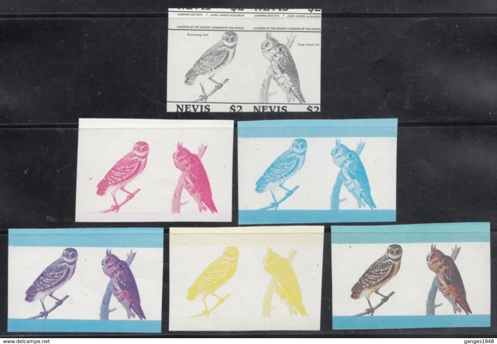 Nevis  Owls  Birds  6  Pairs  Colour Trials  12 MNH Stamps  #  75419 - Owls