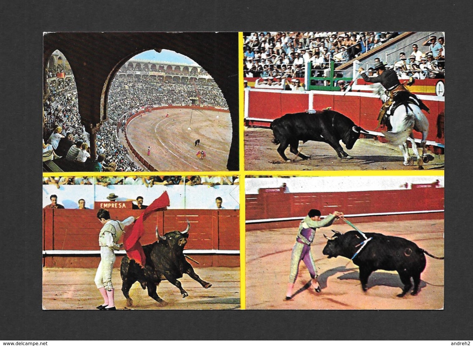 CORRIDA - TYPIQUE COURSE DE TAUREAUX - TOROS - BULLFIGHT - ANIMAUX - ANIMALS - MULTIVIEWS - BY SAVIR - Corrida