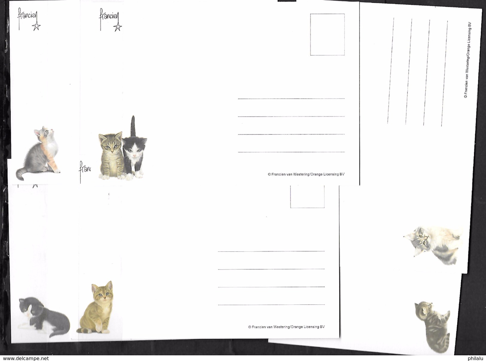 Six Cartes Postales Chats Cats Catze Gatos - Chats