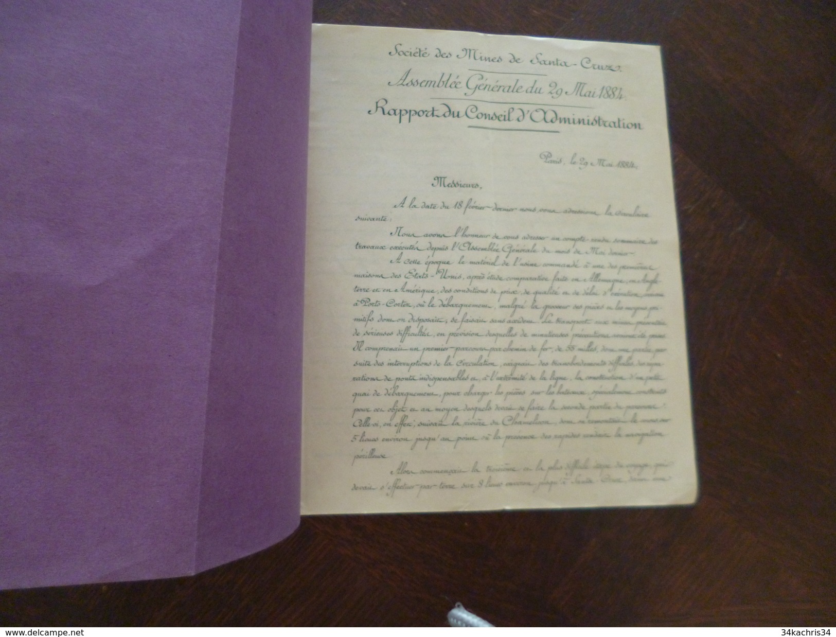 Plaquette Rapport Conseil D'administration Société Des Mines D'or De Santa Cruz 29/05/1884. Panama - Documents Historiques