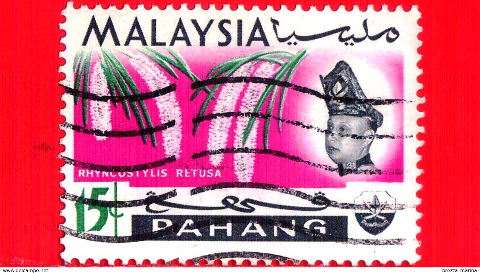 MALESIA - MALAYSIA - Usato - 1965 - PAHANG - Orchidee - Rhynchostylis Retusa - Sultano Abu Bakar - 15 - Malesia (1964-...)