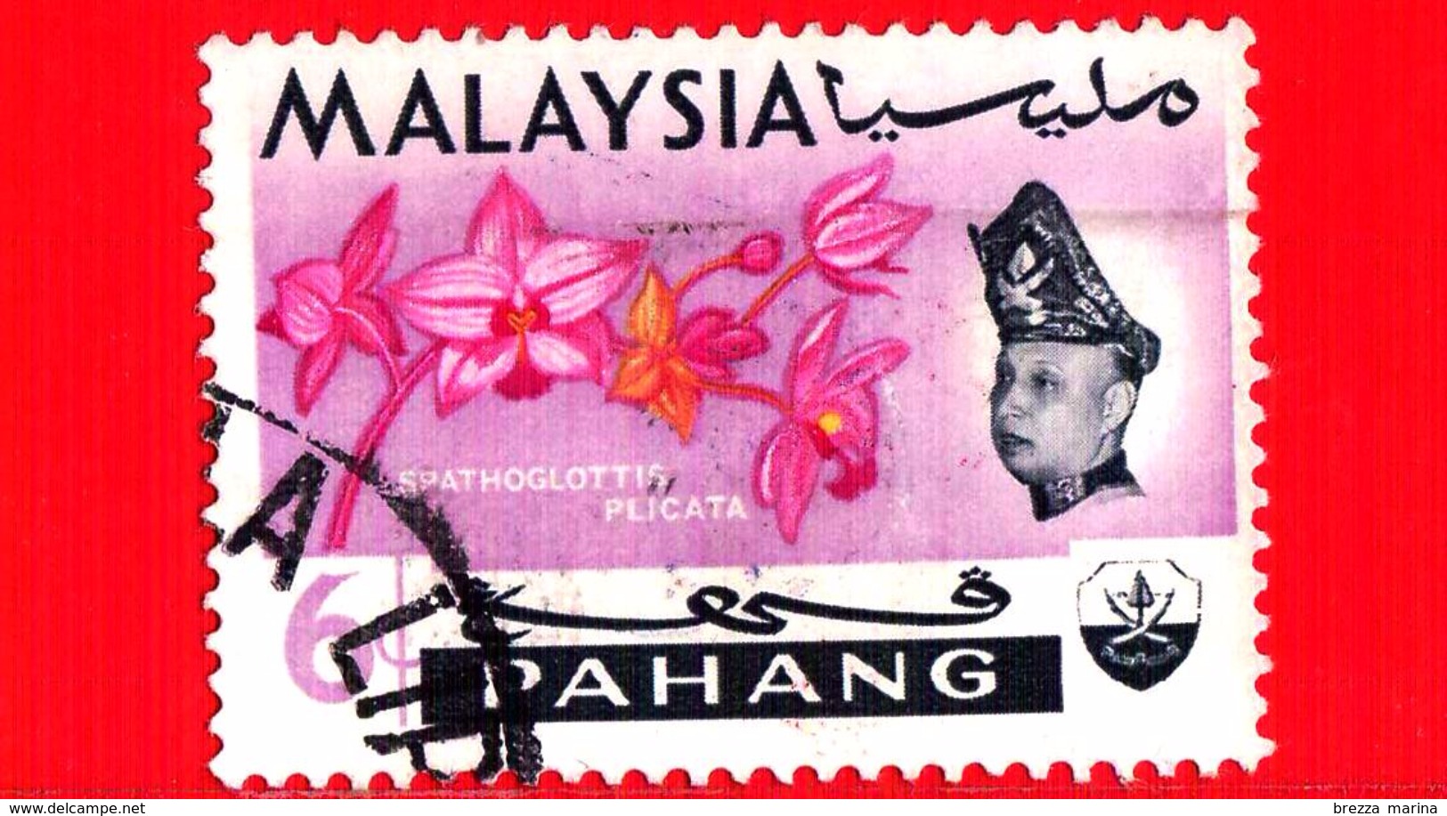 MALESIA - MALAYSIA - Usato - 1965 - PAHANG - Orchidee - Spathoglottis Plicata - Sultano Abu Bakar - 6 - Malesia (1964-...)
