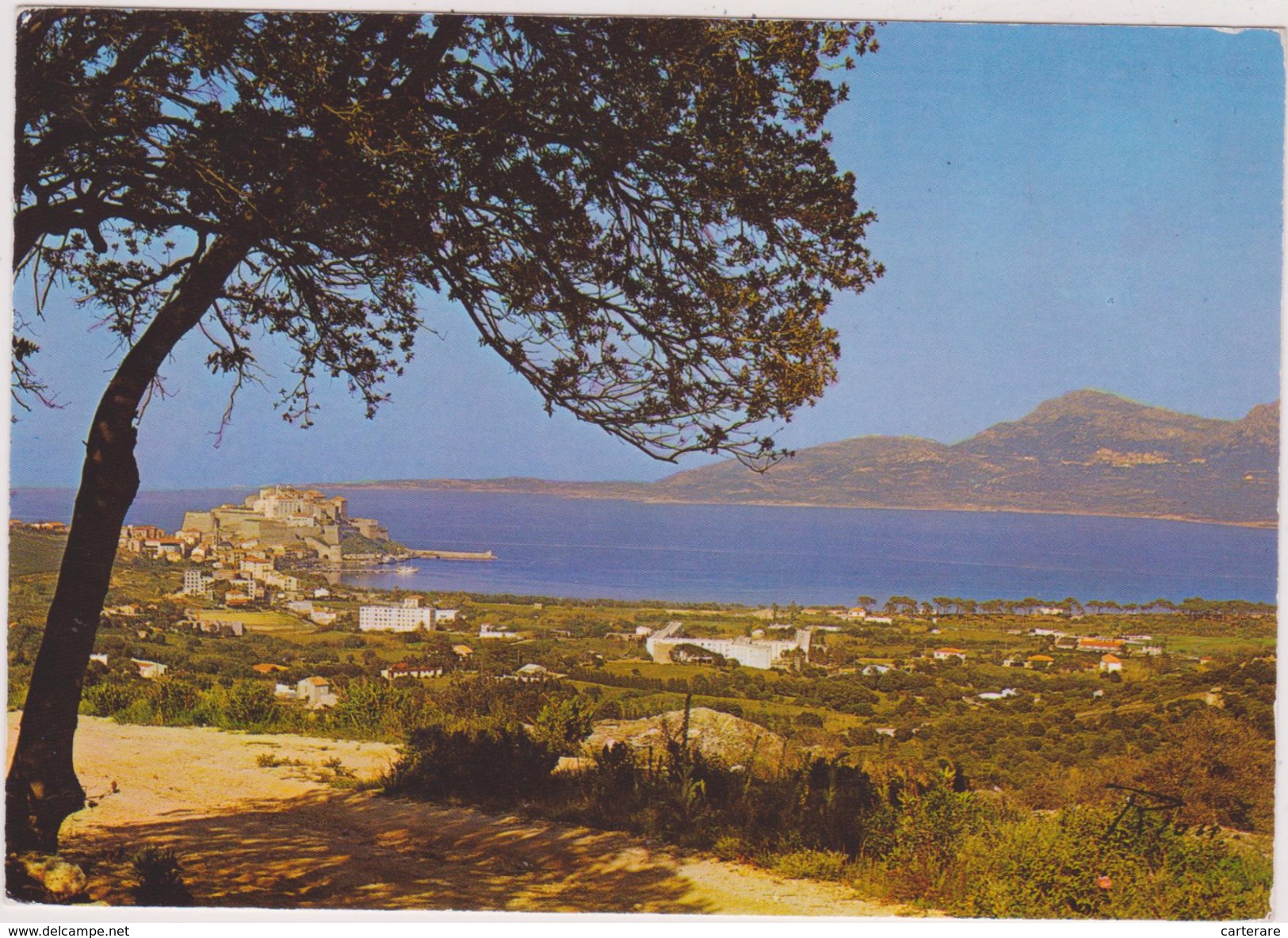 Haute Corse,calvi,capitale économique De La Balagne - Calvi