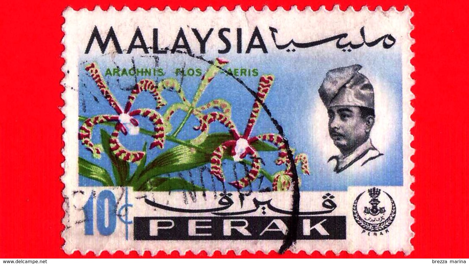 MALESIA - MALAYSIA - Usato - 1965 - PERAK - Orchidee - Arachnanthe Moschifera - Sultano Idris Shah - 10 - Malesia (1964-...)