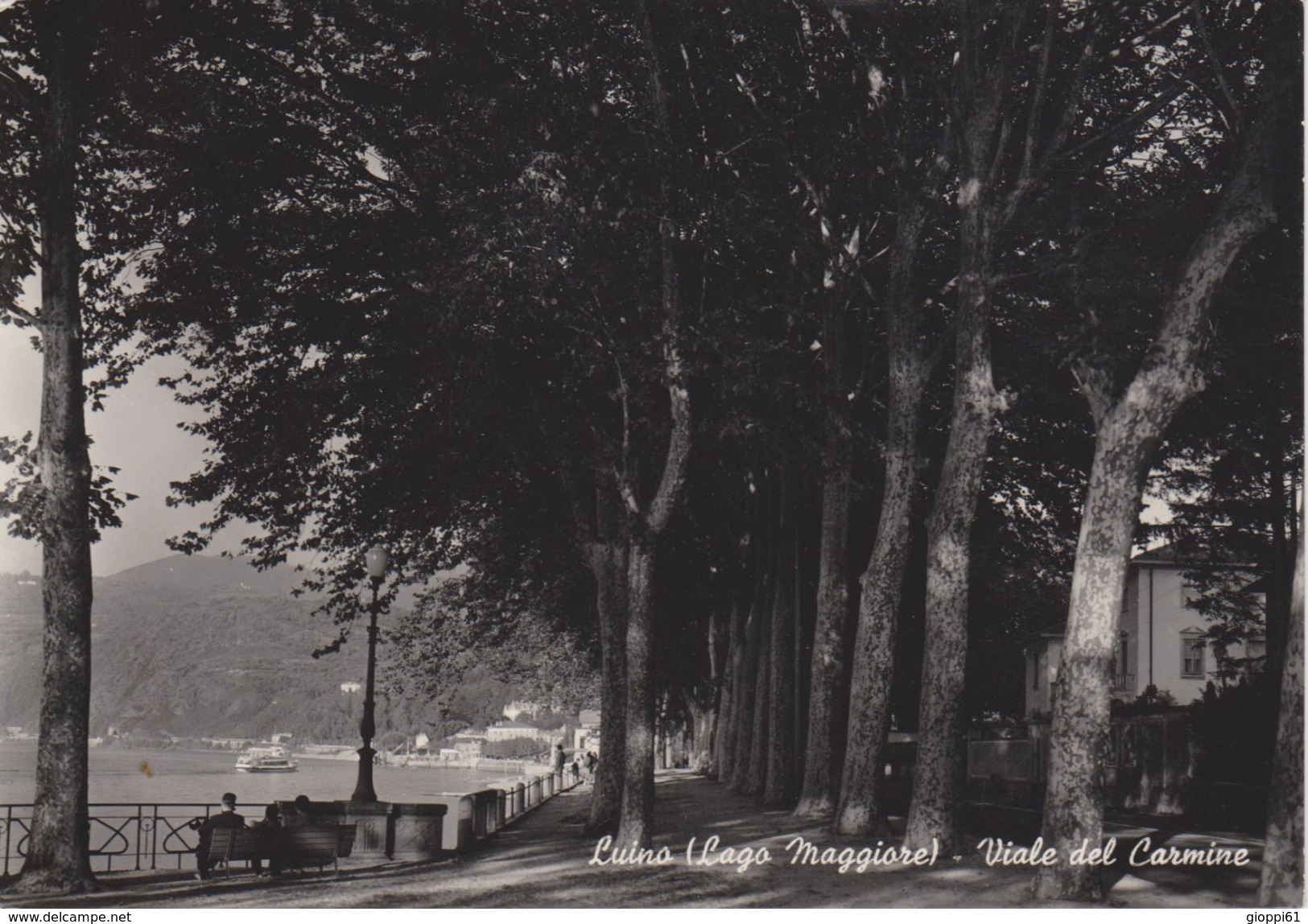 Luino - Viale Del Carmine - Luino