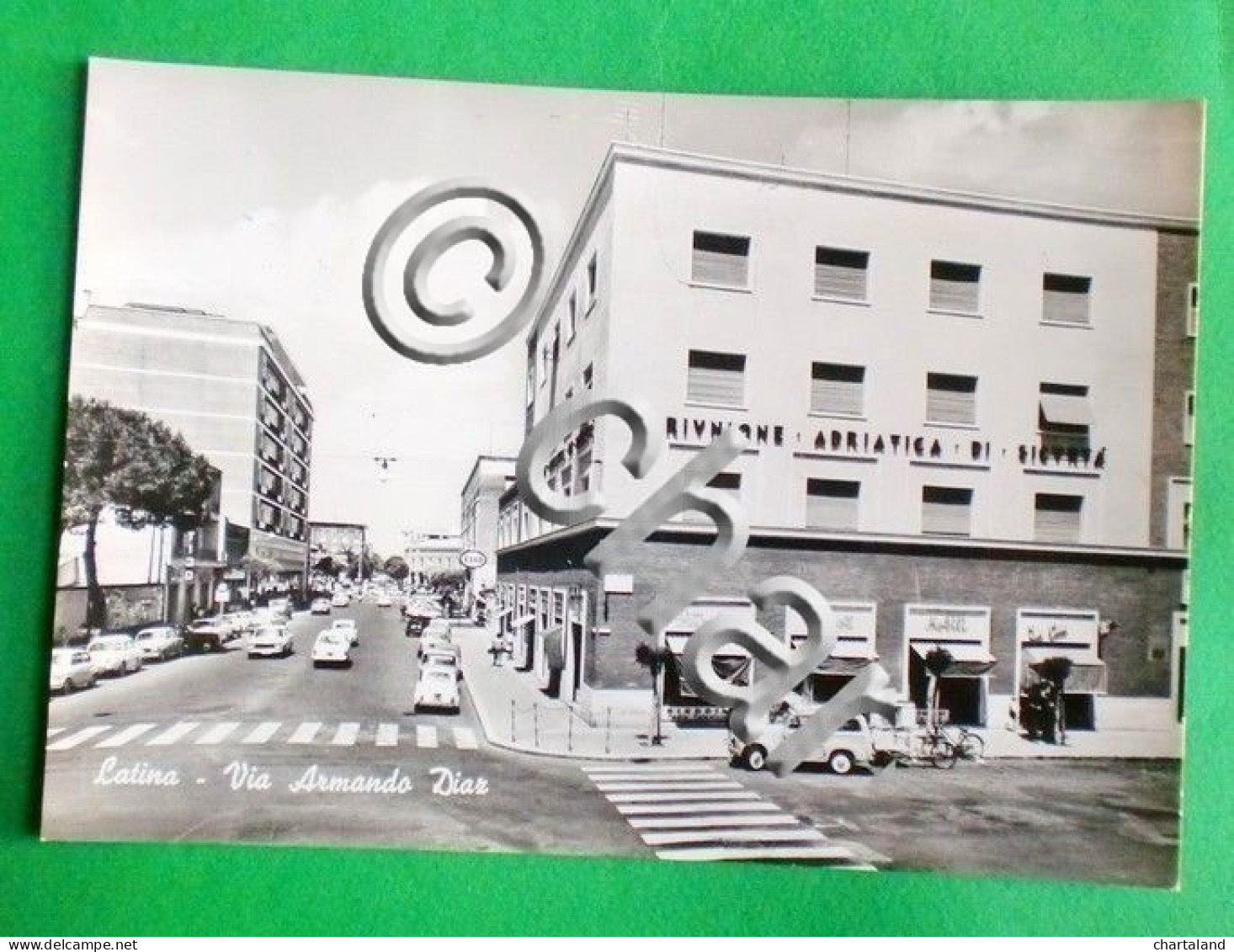 Cartolina Latina - Via Armando Diaz - 1963 - Latina