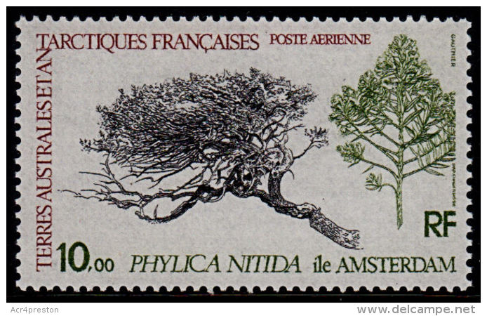 A0828 TAAF (French Antarctic Territories) 1980, SG 147 Tree, Plant, Phylica Nitida,  MNH - Used Stamps