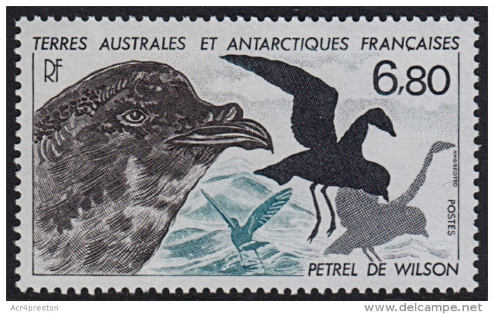 A1048 TAAF (French Antarctic Territories) 1988, SG 242  Wilson's Storm Petrel,  MNH - Unused Stamps