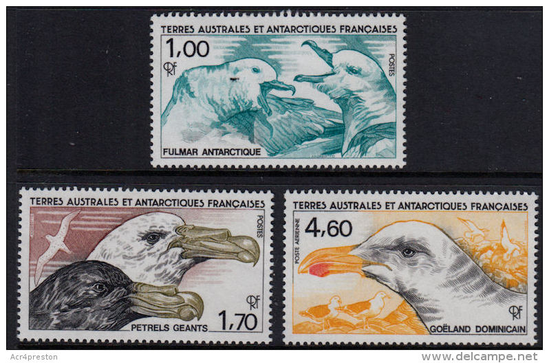 B0677 TAAF (French Antarctic Territories) 1986, SG 208-10  Birds,  MNH - Unused Stamps