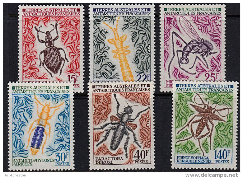 Dd005 TAAF (French Antarctic Territories) 1972, SG 72-7  Insects,  MNH - Unused Stamps