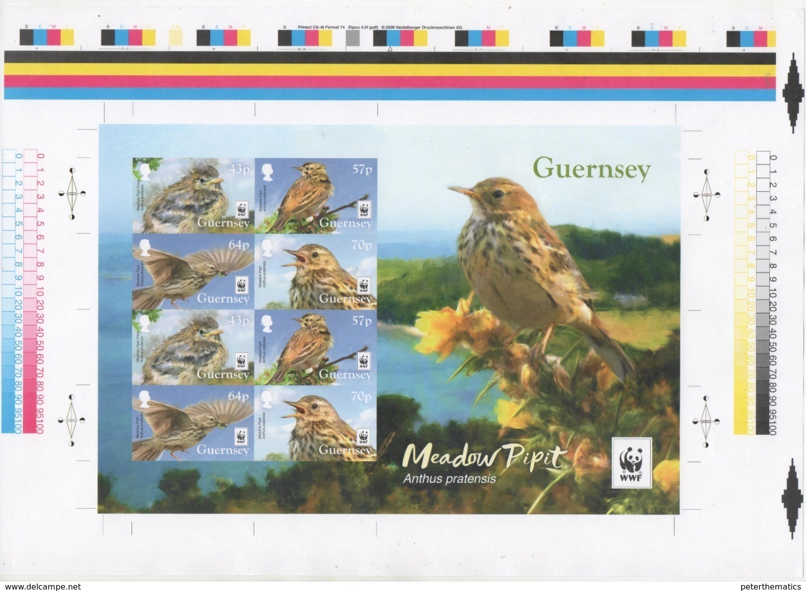 GUERNSEY, 2017, MNH, WWF, BIRDS, LIMITED EDITION IMPERFORATE UNCUT PRESS SHEET, ONLY 500 PRODUCED - Unused Stamps