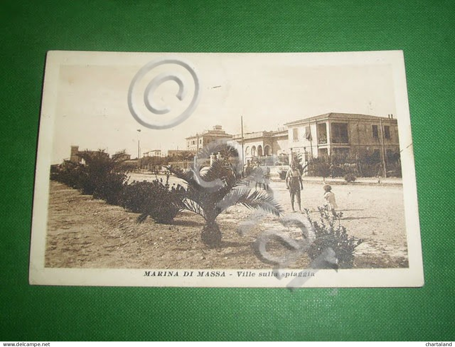 Cartolina Marina Di Massa - Ville Sulla Spiaggia 1921 - Massa