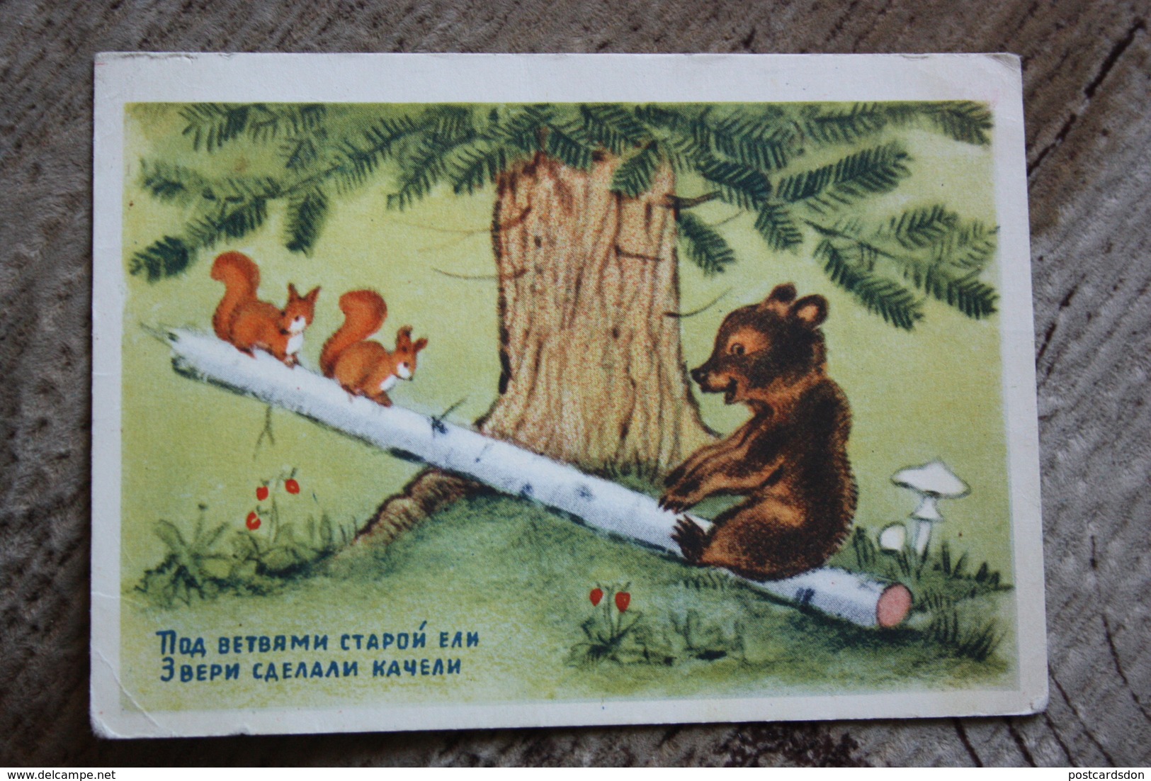 "SWING" - OLD USSR PC 1954 - Bear - Mushroom - Champignon - Hongos