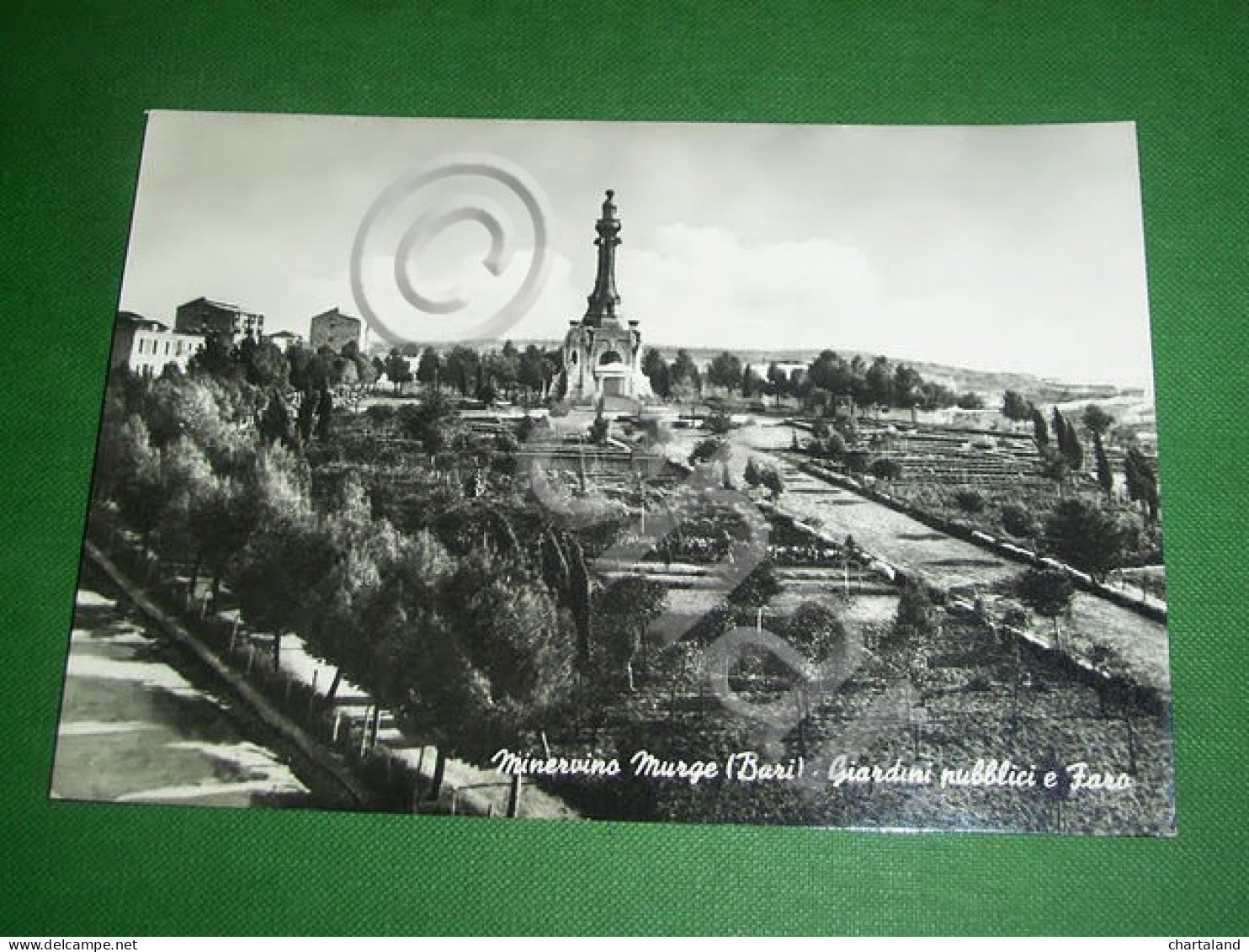 Cartolina Minervino Murge ( Bari ) - Giardini Pubblici E Faro 1962 - Bari