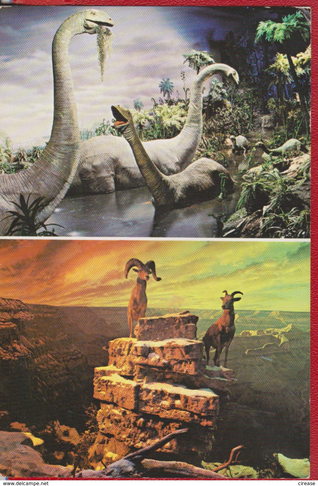 POSTCARD DISNEYLAND PREHISTORICAL ANIMALS USED - Disneyland