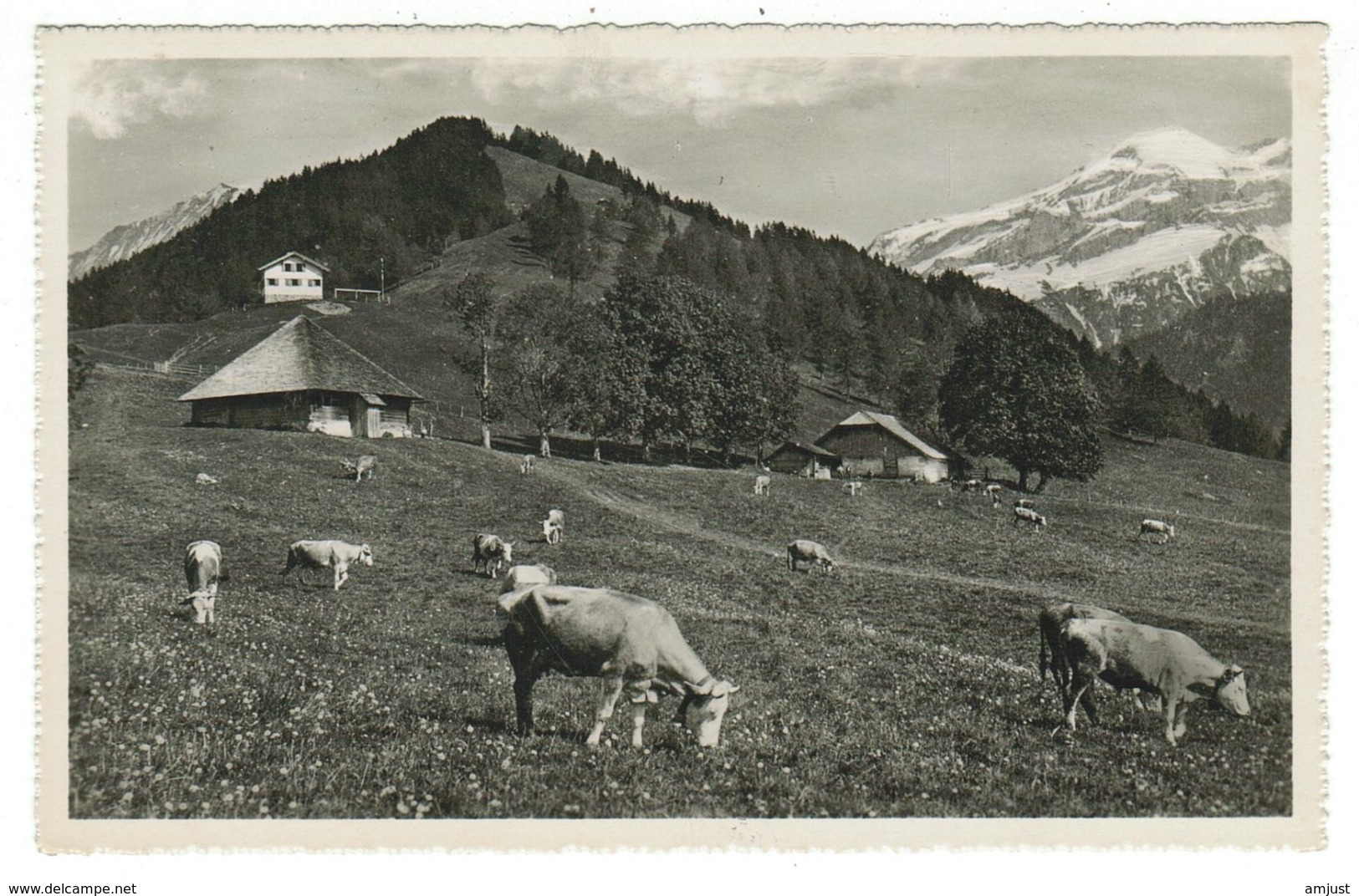 Suisse // Schweiz // Switzerland // Berne // Aeschiallmend, Sennhütten, Ski-u. Ferienheim - Aeschi Bei Spiez