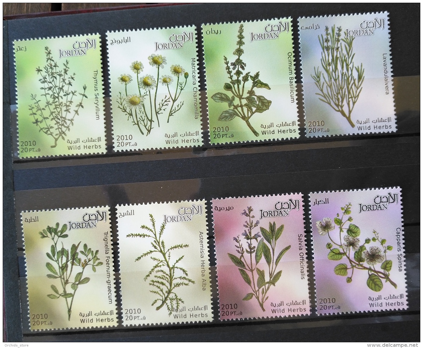 J27 - Jordan 2011 MNH Complete Set 8v. -  Wild Herbs - Health - Jordan