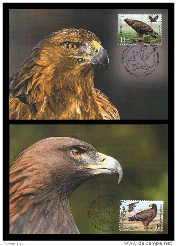 Belarus Maxicard 2016 Mih. 1113/14 Fauna. Rare Birds. Eagles (2 Maxicards) (joint Issue Belarus-Azerbaijan) - Belarus